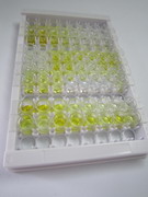 半乳糖凝集素7(GAL7)检测试剂盒(酶联免疫吸附试验法)