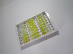 白介素27A(IL27A)检测试剂盒(酶联免疫吸附试验法)