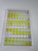 氨基端前腦鈉素(NT-ProBNP)檢測試劑盒(酶聯(lián)免疫吸附試驗法)
