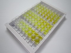 血管细胞粘附分子1(VCAM1)检测试剂盒(酶联免疫吸附试验法)