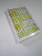 碱性成纤维细胞生长因子(FGF2)检测试剂盒(酶联免疫吸附试验法)