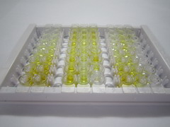 组织金属蛋白酶抑制因子1(TIMP1)检测试剂盒(酶联免疫吸附试验法)