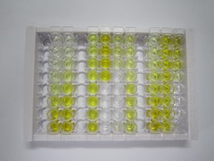 白介素1β(IL1b)检测试剂盒(酶联免疫吸附试验法)