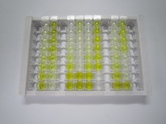 白介素1δ(FIL1d)检测试剂盒(酶联免疫吸附试验法)