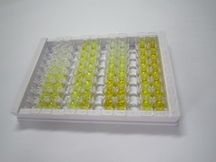 S100钙结合蛋白A11(S100A11)检测试剂盒(酶联免疫吸附试验法)