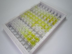 细胞色素C(CYCS)检测试剂盒(酶联免疫吸附试验法)