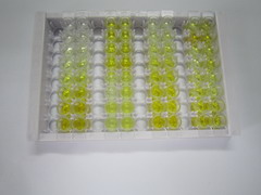 载脂蛋白A2(APOA2)检测试剂盒(酶联免疫吸附试验法)