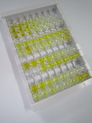 一氧化氮合酶運(yùn)輸因子(NOSTRIN)檢測(cè)試劑盒(酶聯(lián)免疫吸附試驗(yàn)法)