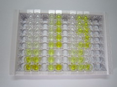 髓样前体细胞抑制因子2(MPIF2)检测试剂盒(酶联免疫吸附试验法)