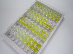 载脂蛋白E(APOE)检测试剂盒(酶联免疫吸附试验法)