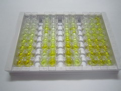 甘露糖受体C2(MRC2)检测试剂盒(酶联免疫吸附试验法)