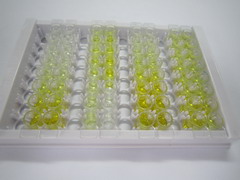 C4结合蛋白β(C4BPb)检测试剂盒(酶联免疫吸附试验法)