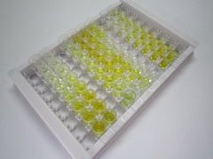 碳酸酐酶Ⅱ(CA2)檢測(cè)試劑盒(酶聯(lián)免疫吸附試驗(yàn)法)