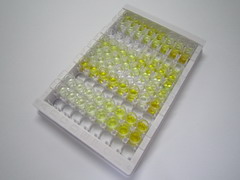 甲状旁腺激素相关蛋白(PTHrP)检测试剂盒(酶联免疫吸附试验法)
