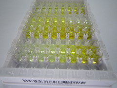 催乳素(PRL)检测试剂盒(酶联免疫吸附试验法)