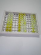 催乳素(PRL)检测试剂盒(酶联免疫吸附试验法)