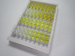 蛋白激酶C相互作用蛋白1(PICK1)检测试剂盒(酶联免疫吸附试验法)