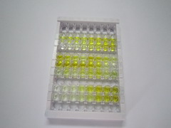 饥饿素(GHRL)检测试剂盒(酶联免疫吸附试验法)
