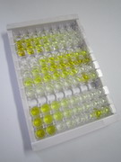 鞘磷脂蛋白0(MPZ)检测试剂盒(酶联免疫吸附试验法)