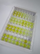 磷脂酰肌醇蛋白聚糖1(GPC1)检测试剂盒(酶联免疫吸附试验法)