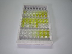 70kDa热休克蛋白1样蛋白(HSPA1L)检测试剂盒(酶联免疫吸附试验法)
