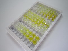 丙氨酸氨肽酶(AAP)检测试剂盒(酶联免疫吸附试验法)