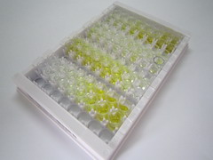 肌球蛋白轻链1(MYL1)检测试剂盒(酶联免疫吸附试验法)