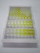 CD42b分子(CD42b)检测试剂盒(酶联免疫吸附试验法)