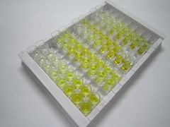 发动蛋白2(DNM2)检测试剂盒(酶联免疫吸附试验法)