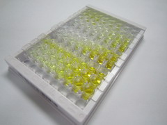 去唾液酸糖蛋白受体1(ASGR1)检测试剂盒(酶联免疫吸附试验法)