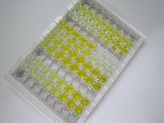 纤溶酶原(Plg)检测试剂盒(酶联免疫吸附试验法)