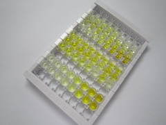 信号素7A(SEMA7A)检测试剂盒(酶联免疫吸附试验法)