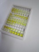 肿瘤坏死因子受体超家族成员9(TNFRSF9)检测试剂盒(酶联免疫吸附试验法)