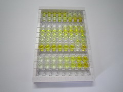 杀伤细胞免疫球蛋白样受体3DL1(KIR3DL1)检测试剂盒(酶联免疫吸附试验法)