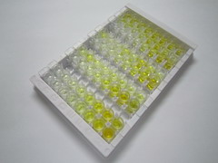 脂肪酸结合蛋白1(FABP1)检测试剂盒(酶联免疫吸附试验法)
