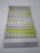CD32分子(CD32)检测试剂盒(酶联免疫吸附试验法)