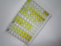 白介素13受体α2(IL13Ra2)检测试剂盒(酶联免疫吸附试验法)