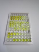 CD226分子(CD226)检测试剂盒(酶联免疫吸附试验法)