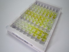 B-细胞激活因子(BAFF)检测试剂盒(酶联免疫吸附试验法)