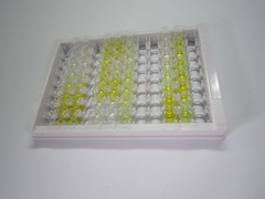 肿瘤坏死因子配体超家族成员13(TNFSF13)检测试剂盒(酶联免疫吸附试验法)