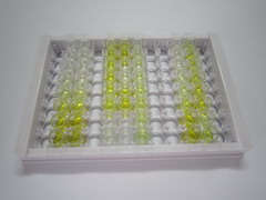 表皮转谷氨酰胺酶(TGM3)检测试剂盒(酶联免疫吸附试验法)