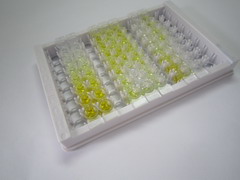 核糖核酸酶A3(RNASE3)检测试剂盒(酶联免疫吸附试验法)