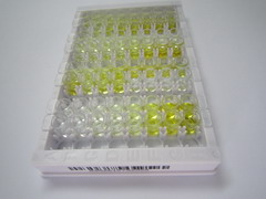 可溶性半乳糖凝集素3结合蛋白(LGALS3BP)检测试剂盒(酶联免疫吸附试验法)