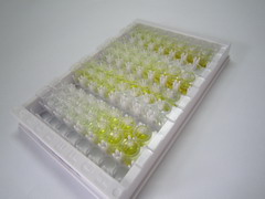 可溶性半乳糖凝集素3结合蛋白(LGALS3BP)检测试剂盒(酶联免疫吸附试验法)