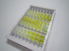 连接附着分子2(JAM2)检测试剂盒(酶联免疫吸附试验法)