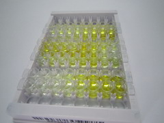 脑啡肽酶(CD10)检测试剂盒(酶联免疫吸附试验法)