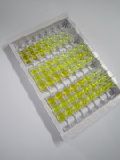 唾液酸结合Ig样凝集素7(SIGLEC7)检测试剂盒(酶联免疫吸附试验法)