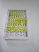S100钙结合蛋白A9(S100A9)检测试剂盒(酶联免疫吸附试验法)