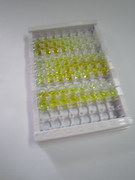S100鈣結(jié)合蛋白A9(S100A9)檢測(cè)試劑盒(酶聯(lián)免疫吸附試驗(yàn)法)