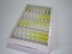Jagged 1蛋白(JAG1)檢測(cè)試劑盒(酶聯(lián)免疫吸附試驗(yàn)法)